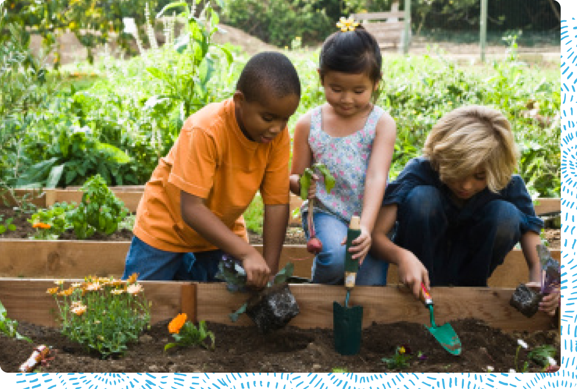 three elementary-aged children work together to plant vegetable garden