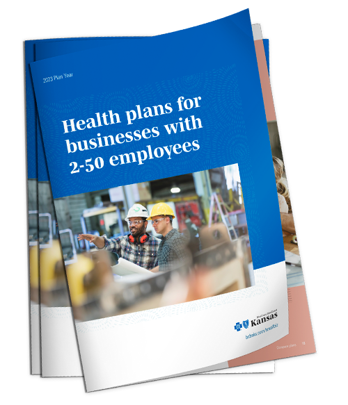 Health plans for businesses with 2-50 employees