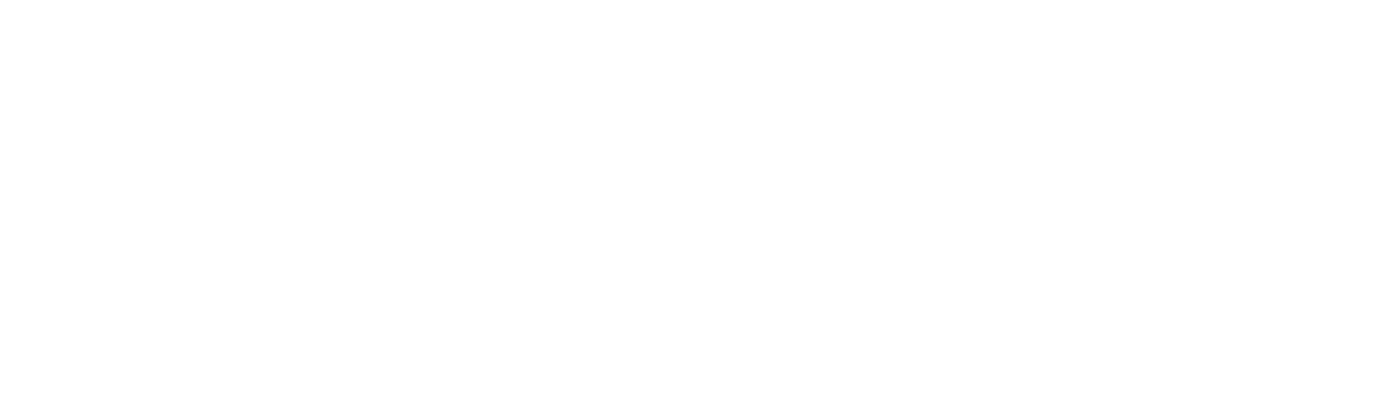 Blue Health Initiatives logo