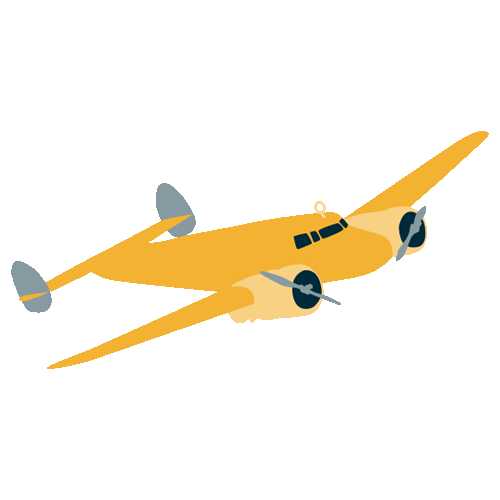 earhart_plane.png
